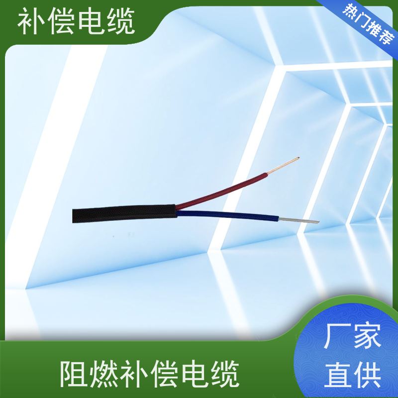 天康 热电阻补偿电缆 绝缘厚度 0.7mm 品牌厂家 物超所值