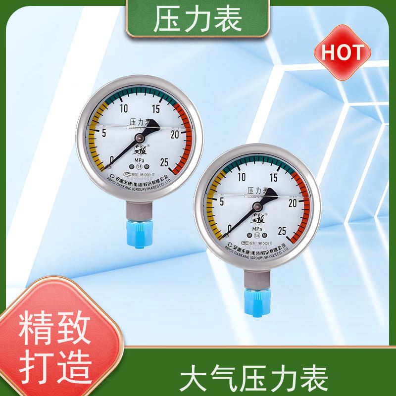 天康 气体压力表 环境温度 100℃ 批发 实力厂家 品质优越