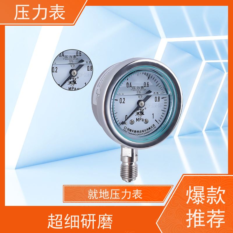 天康 气压压力表 环境温度 100℃ 批发 厂家制造 品类齐全