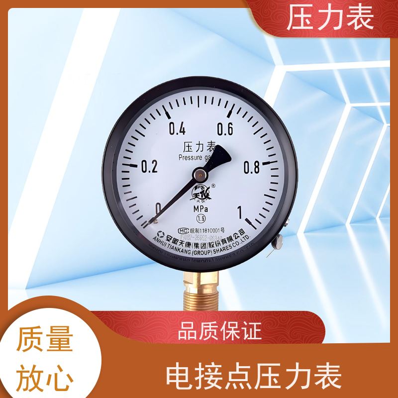 天康 二氧化碳压力表 环境温度 100℃ 批发 源头厂家 质量保障