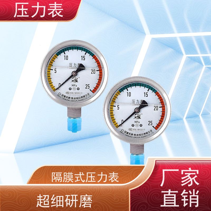 天康 特种压力表 环境温度 100℃ 批发 实力厂家 品质优越