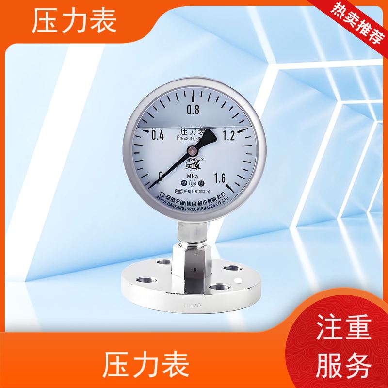 天康 弹簧压力表 环境温度 100℃ 批发 实力厂家 品质优越