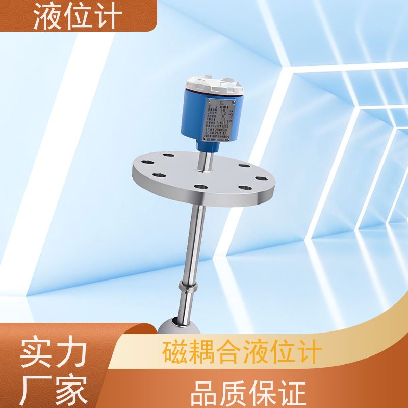 天康 外置式液位计 工作压力 1.0mpa 源头工厂 规模生产