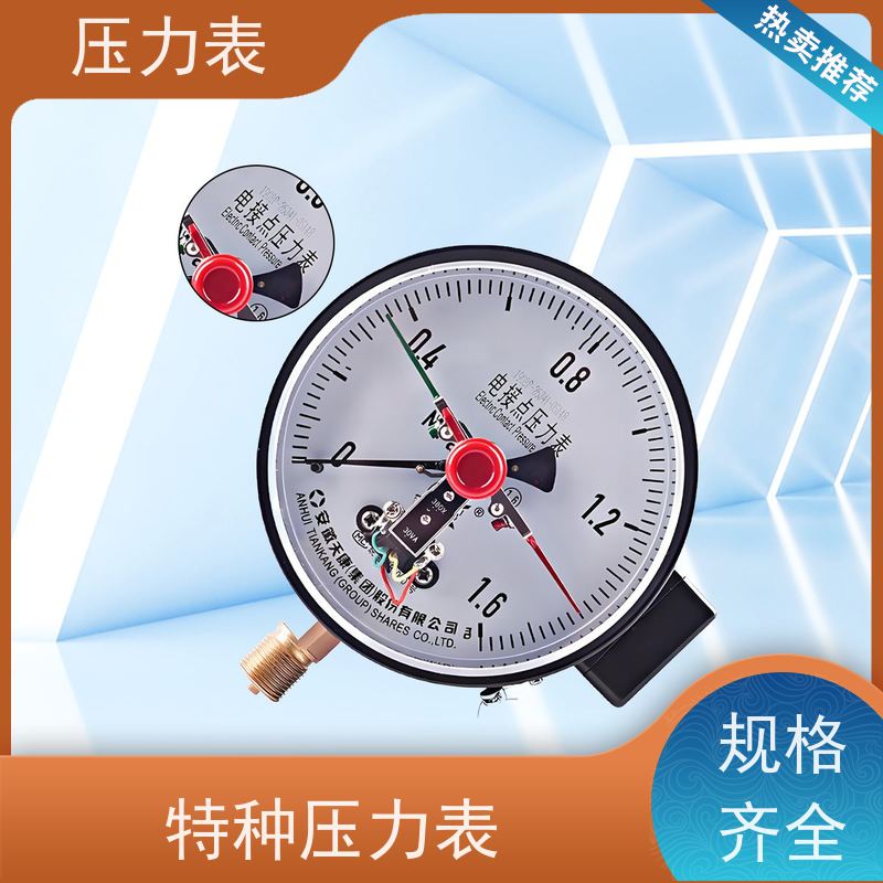 天康 法兰压力表 环境温度 100℃ 批发 源头厂家 质量保障
