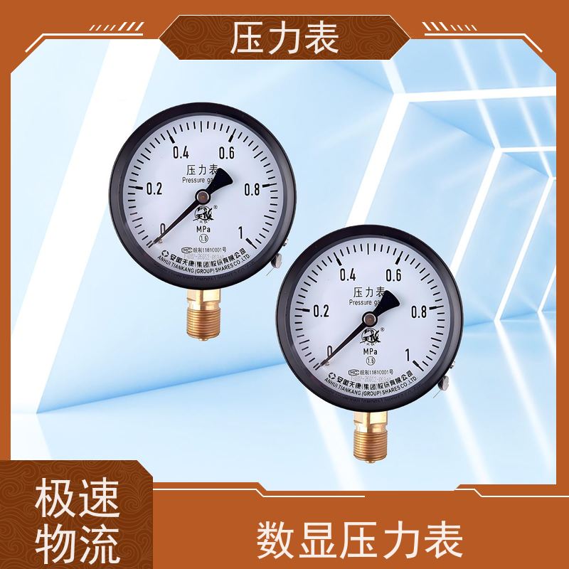 天康 隔膜耐震压力表 环境温度 100℃ 批发 实力厂家 品质优越
