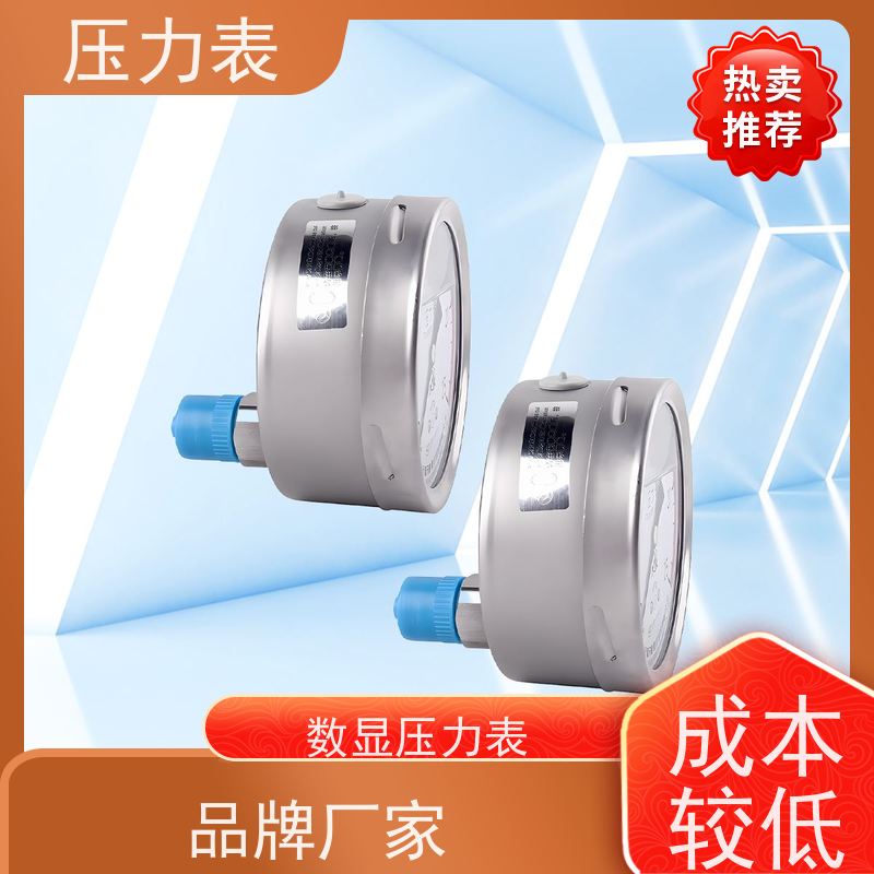 天康 压力表 环境温度 100℃ 批发 源头厂家 质量保障