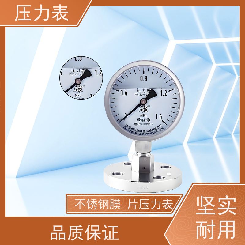 天康 隔膜式压力表 公称直径 60mm 批发 厂家制造 品类齐全
