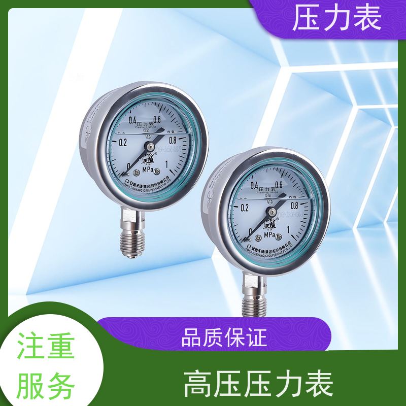 天康 天然气压力表 公称直径 60mm 批发 厂家制造 品类齐全