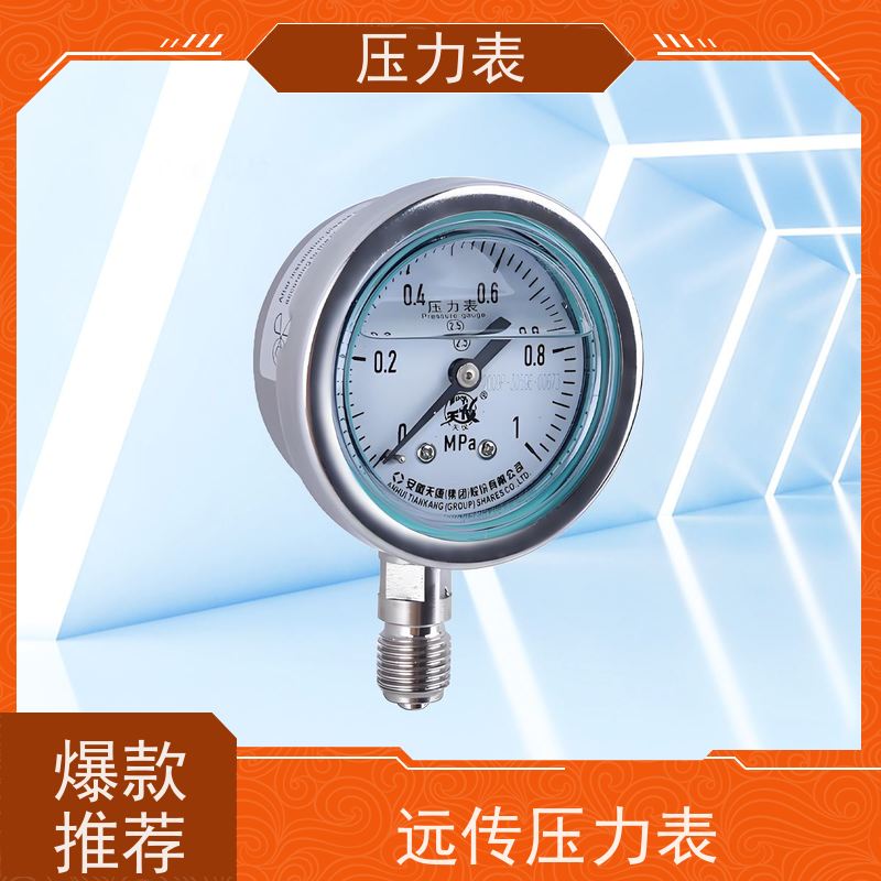 天康 特种压力表 环境温度 100℃ 批发 厂家制造 品类齐全