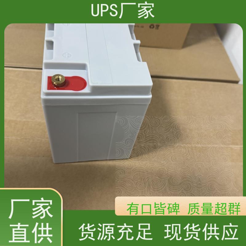 普华UPS电源 CASTLE-6K 在线式应急电源 具备完善报警机制 总代理