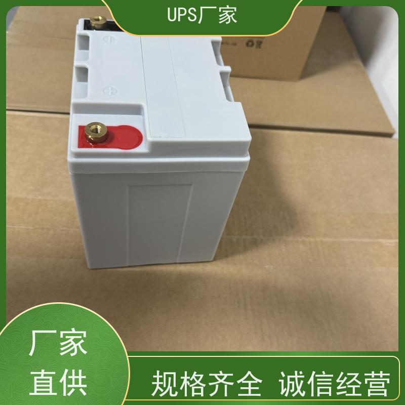 普华UPS电源 CASTLE-3K 在线式应急电源 机房服务器稳定供电 生产厂家