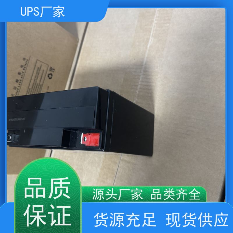 普华UPS电源 CASTLE-3KS 220VAC机架式 机房服务器稳定供电 代理商