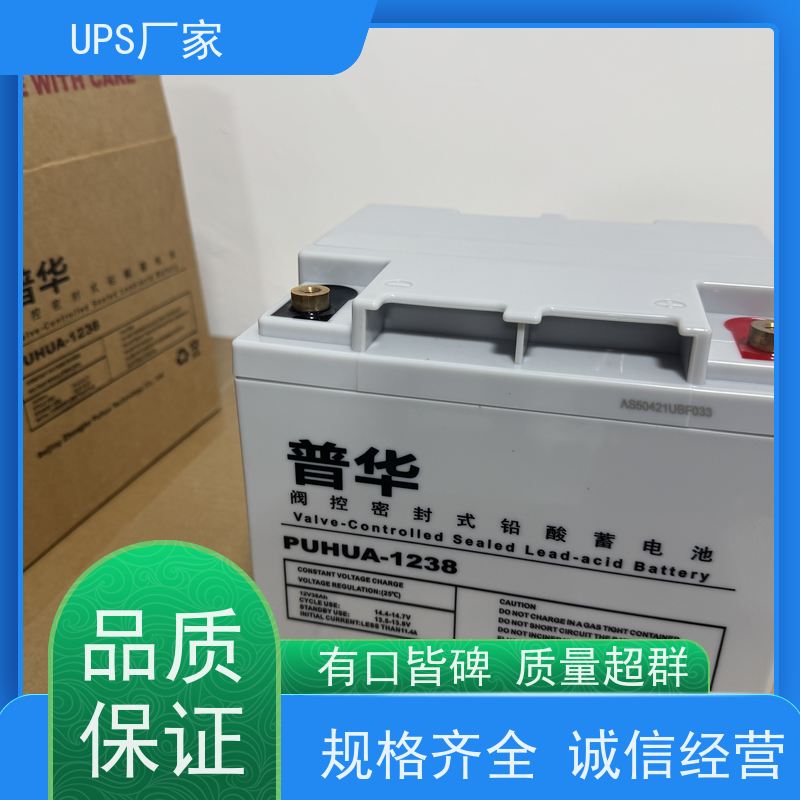 普华UPS电源 CASTLE-6KS 高/工频机 50/60Hz 具备完善报警机制 代理商