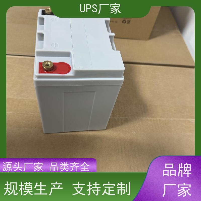 普华UPS电源 CASTLE-10KS 220VAC机架式 具备完善报警机制 总代理
