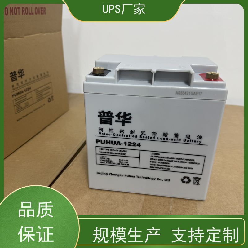 普华UPS电源 CASTLE-10K 在线式应急电源 机房服务器稳定供电 代理商