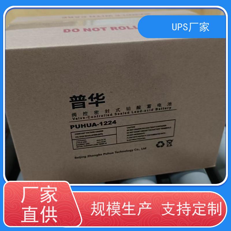 普华UPS电源 CASTLE-3K 高/工频机 50/60Hz 具备完善报警机制 生产厂家