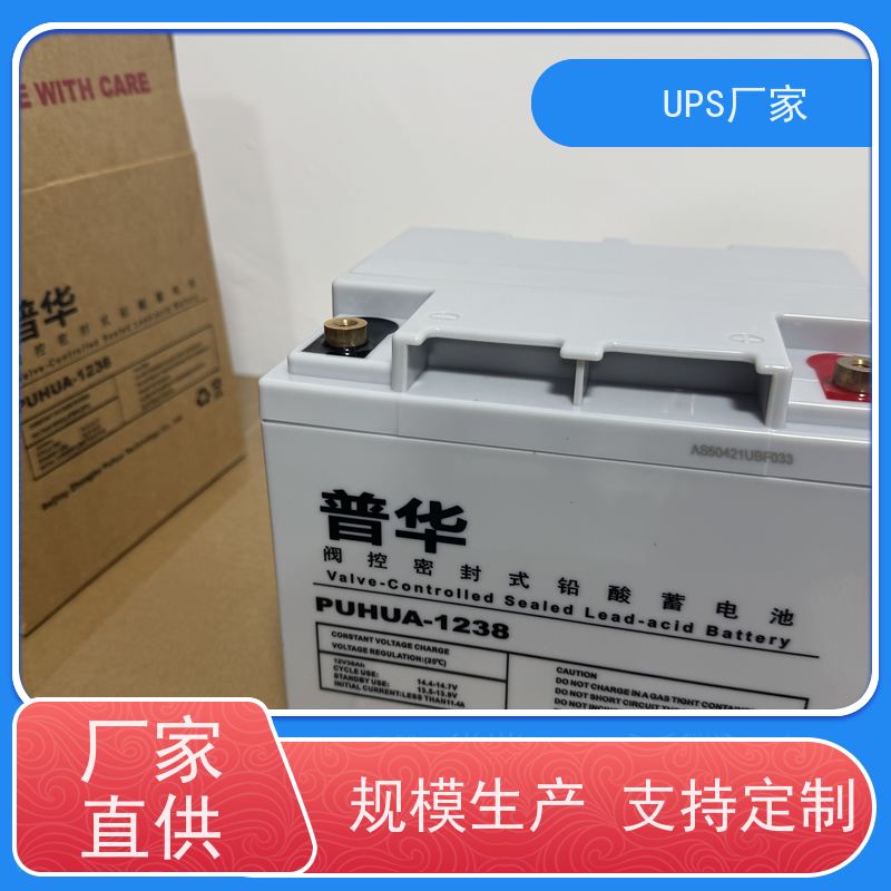 普华UPS电源 CASTLE-3K 高/工频机 50/60Hz 可靠性维护 低能耗 代理商