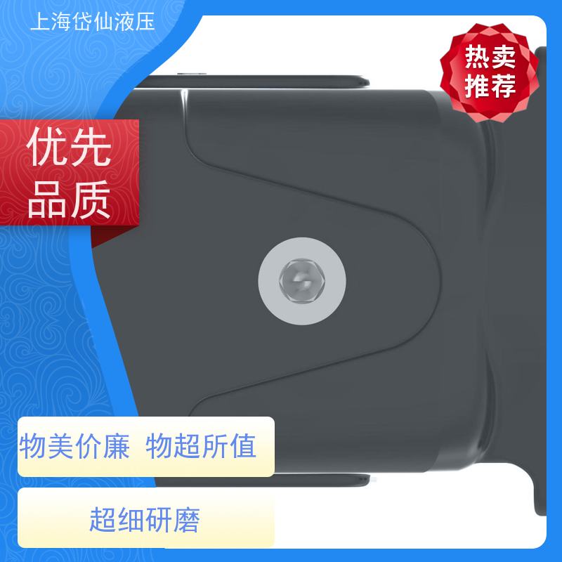 DANFOSS丹佛斯液压泵 421AK02296C 开式回路泵
