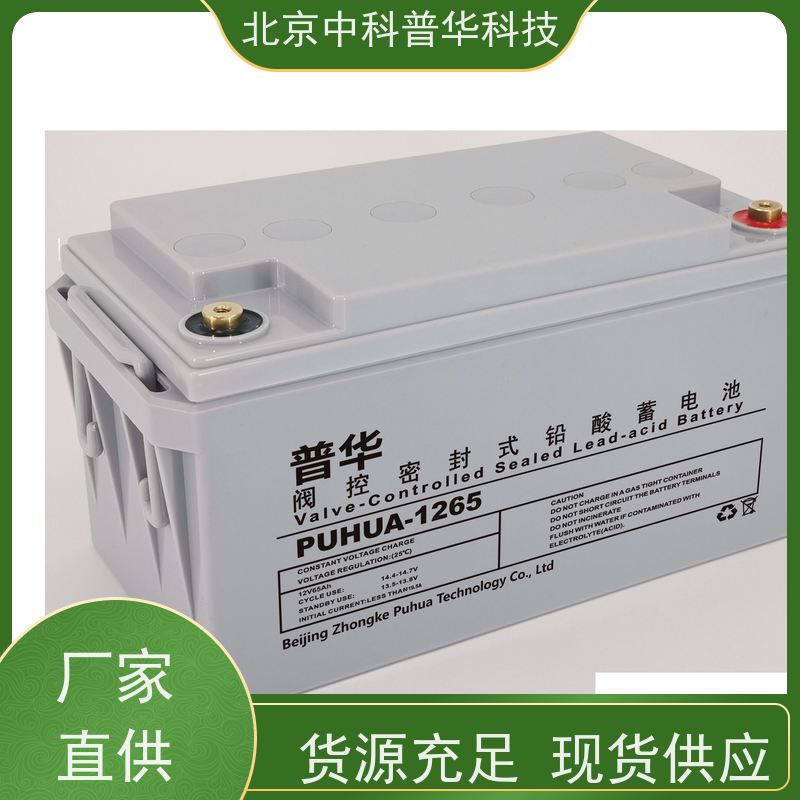 普华UPS电源 制药厂 内置隔离变压器 机房服务器稳定供电 生产厂家
