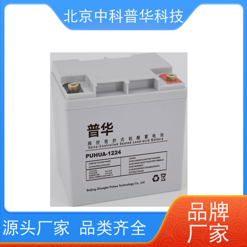 普华UPS电源 100KVA 内置隔离变压器 可靠性维护 低能耗 代理商