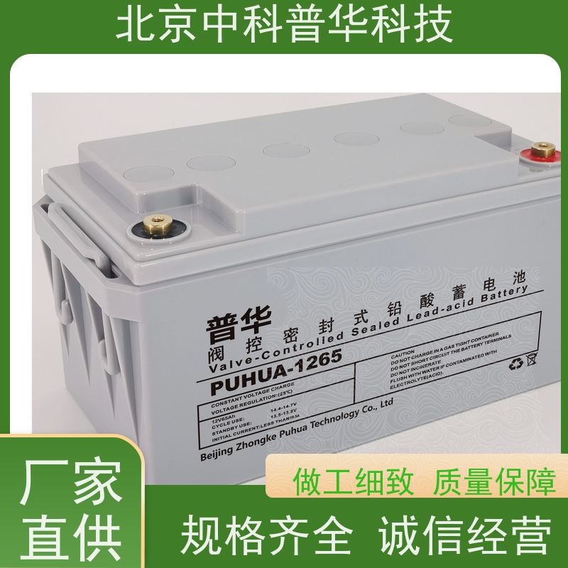 普华UPS电源 制药厂 高/工频机 50/60Hz 机房服务器稳定供电 代理商