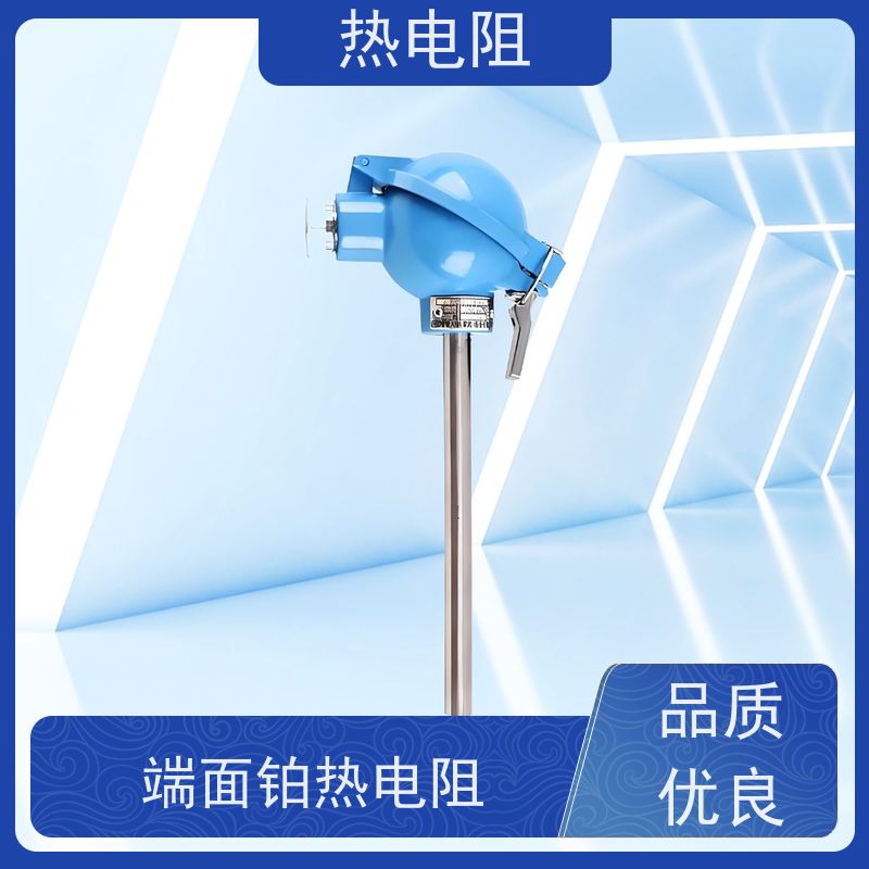 天康 双支铂热电阻 允差等级 ±1.0 厂家直发 规模生产