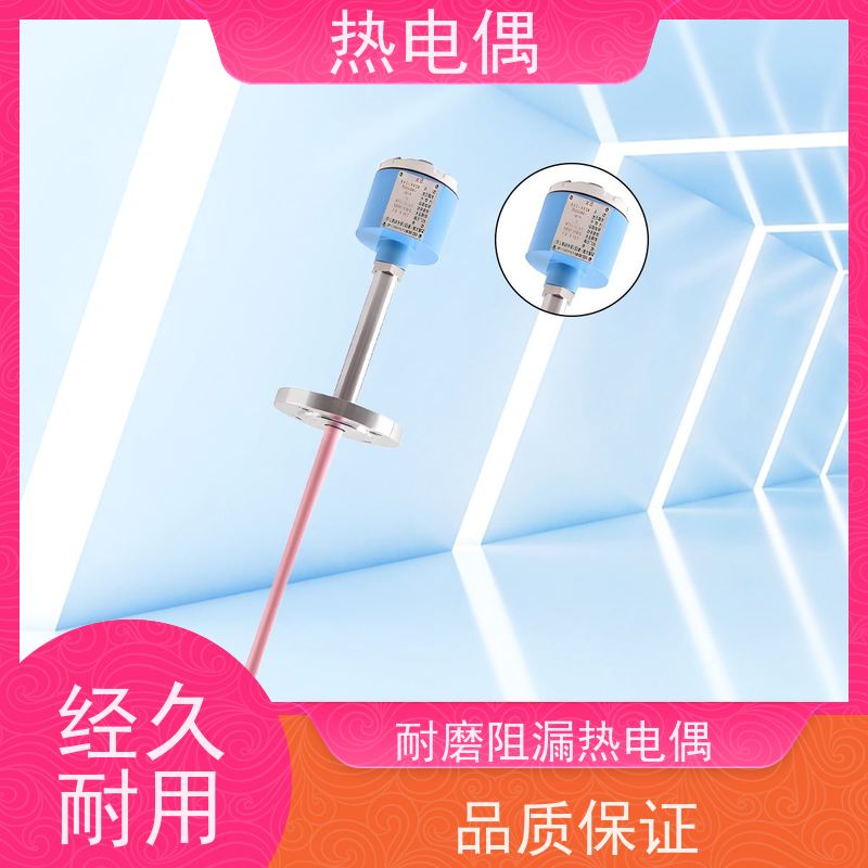 天康 片式热电偶 测量温度 0~1800℃ 厂家制造 经久耐用
