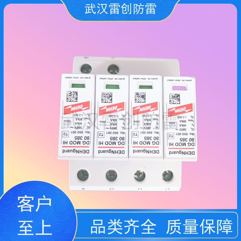 DG S 385 CN FM 原装进口防雷模块 盾牌 C级分电源防雷器