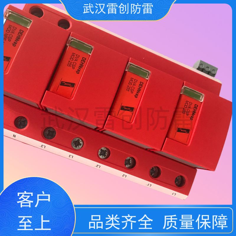德国DEHN B级总电源防雷器 原装进口防雷模块 DSH TNS 255