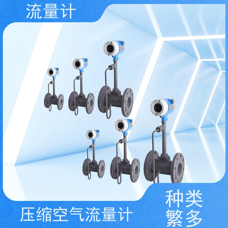 天康 漩涡流量计 公称通径 dn10-1200 品牌厂家 优选材质