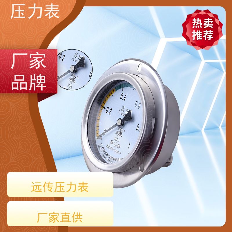 天康 就地压力表 环境温度 100℃ 批发 实力厂家 品质优越