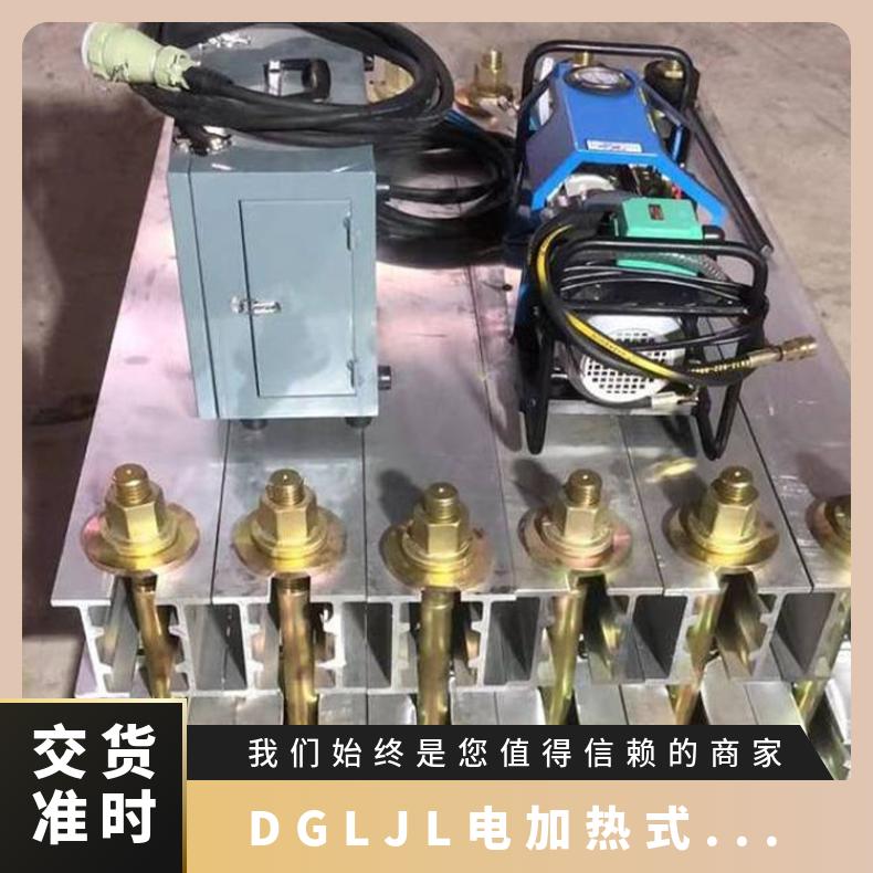 DGLJL1400X1200电加热式硫化机 公称合模力65MN