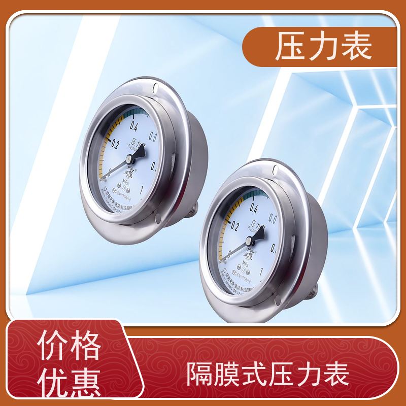 天康 氨用压力表 环境温度 100℃ 批发 厂家供应 货源充足