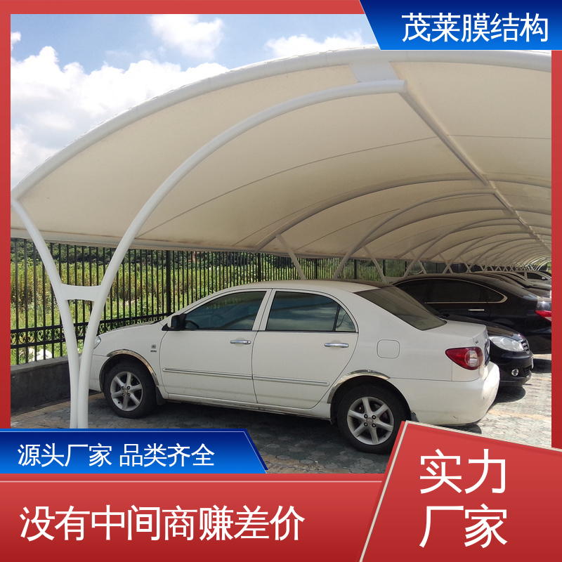 图6