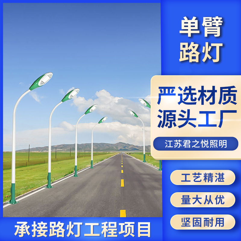 独特的光学和散热结构设计 单臂路灯 匠心优选 君之悦