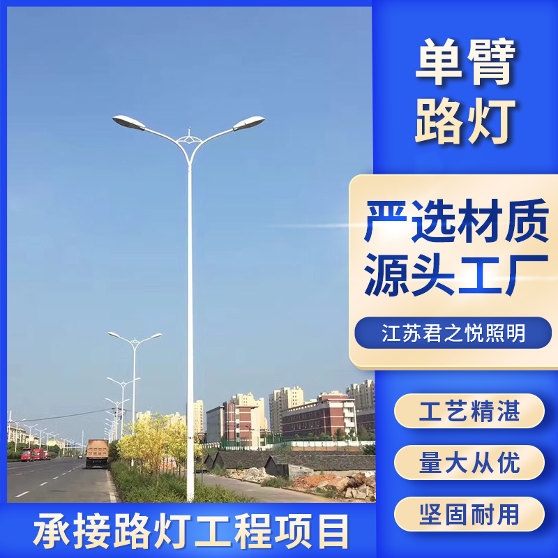 独特的光学和散热结构设计 单臂路灯 匠心优选 君之悦