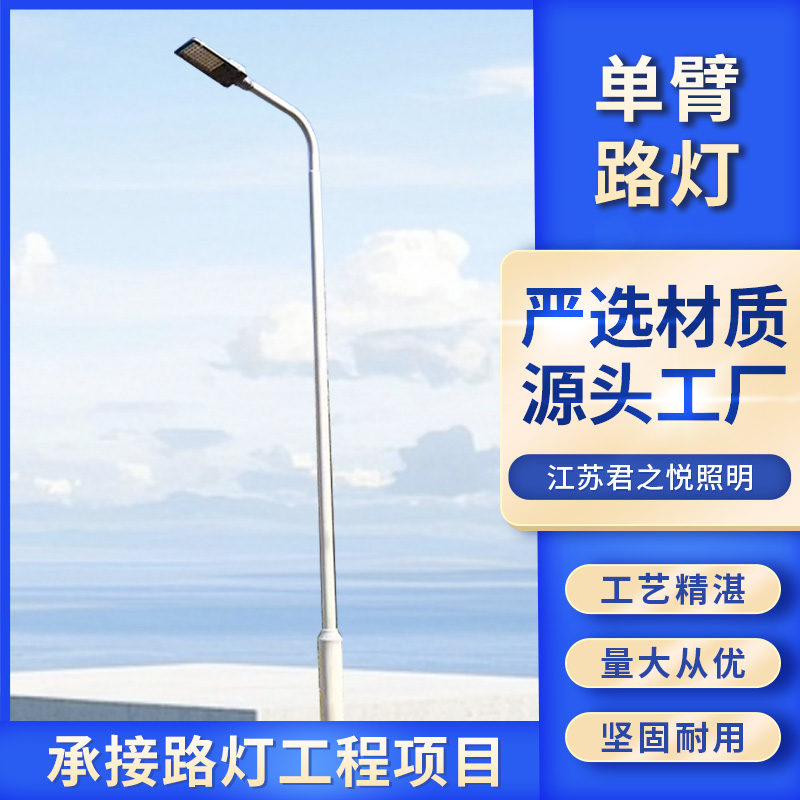 独特的光学和散热结构设计 单臂路灯 匠心优选 君之悦