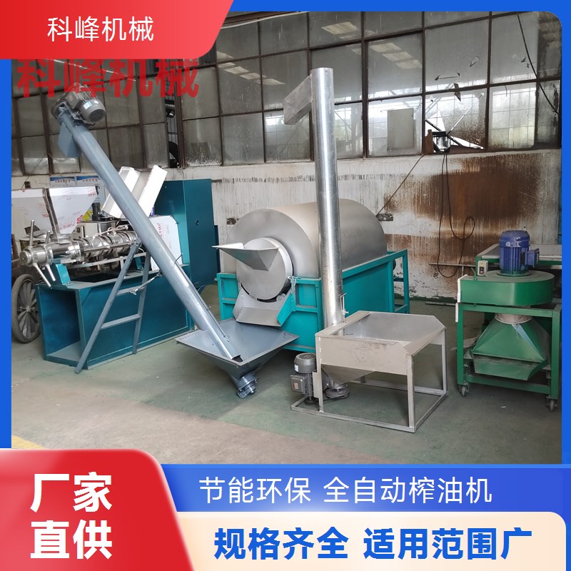 摆摊专用冷热两用榨油机 花生芝麻同机压榨 夫妻创业小型榨油机器