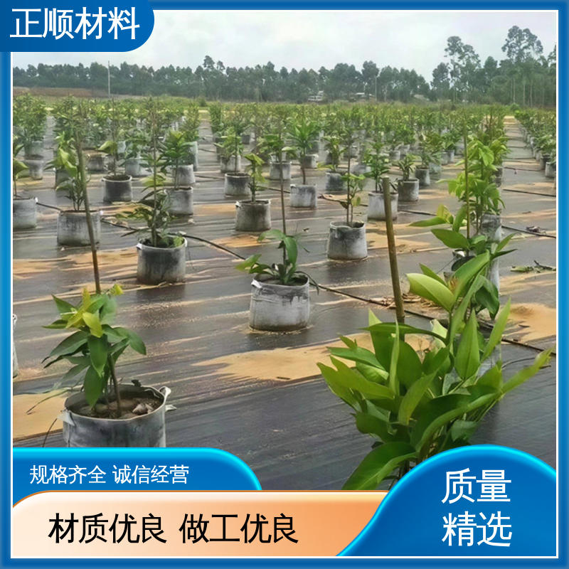 图6