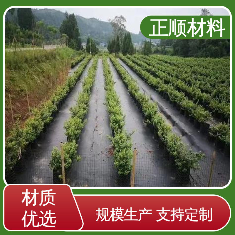 图6