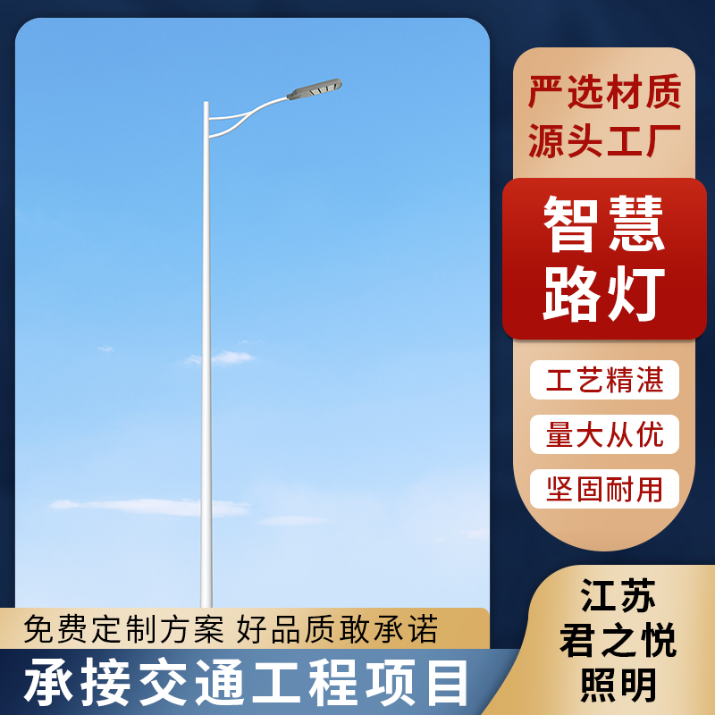 带显示屏wifi广播充电桩 多功能智慧路灯杆厂家 规模生产 君之悦