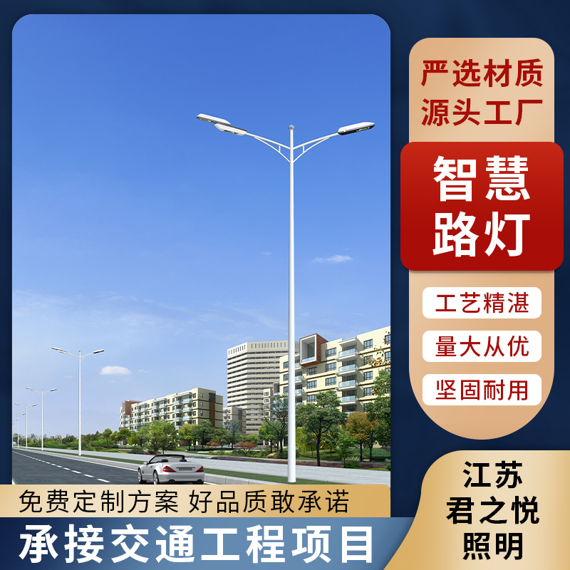 带显示屏wifi广播充电桩 多功能智慧路灯杆厂家 规模生产 君之悦