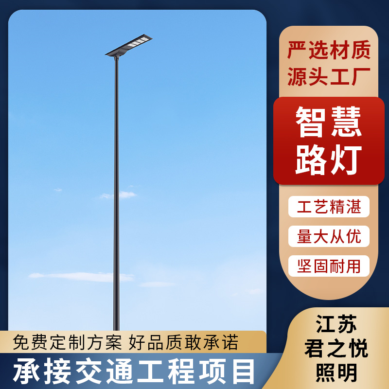 带显示屏wifi广播充电桩 多功能智慧路灯杆厂家 规模生产 君之悦