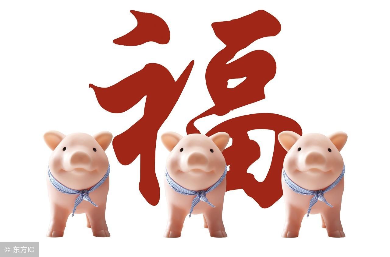 2019年猪宝宝出生吉日吉时(2019年属木，山林之猪你家适合添一位猪宝宝吗？)
