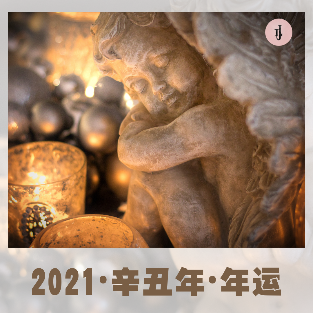 属鸡人在2021年的全年运势(木星水瓶座2021年的运势如何？)