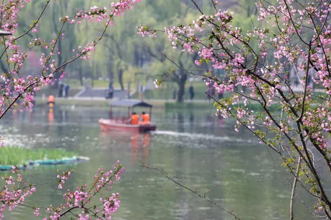 阴历三月三是什么节日(上巳·清明特别节目《博物院里春色无边》)