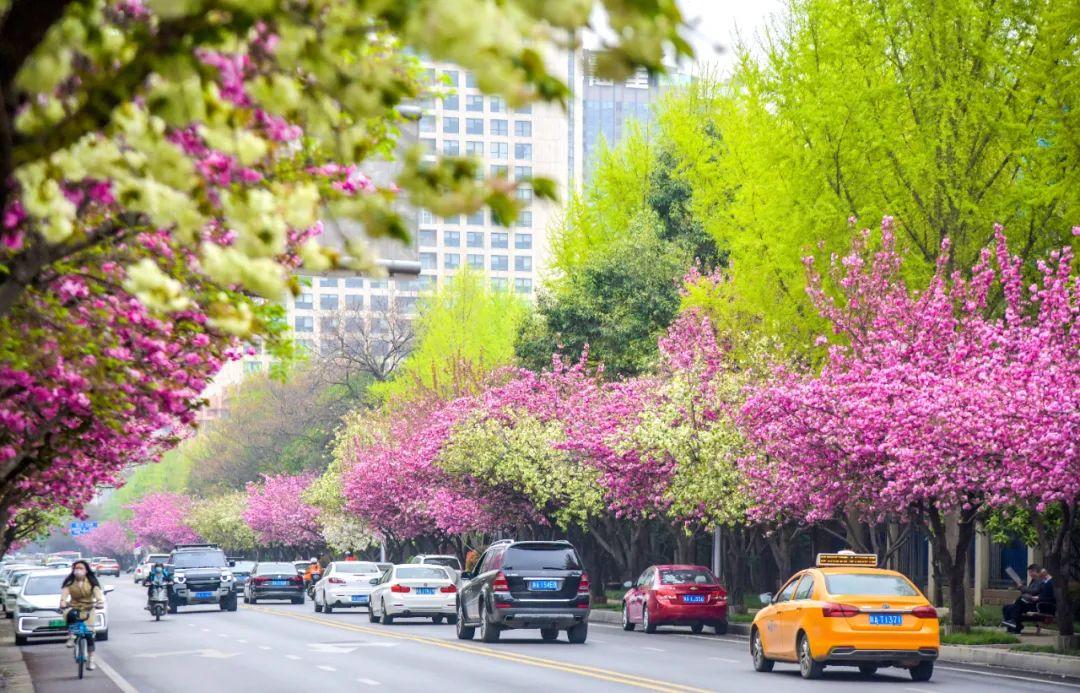 阴历三月三是什么节日(上巳·清明特别节目《博物院里春色无边》)