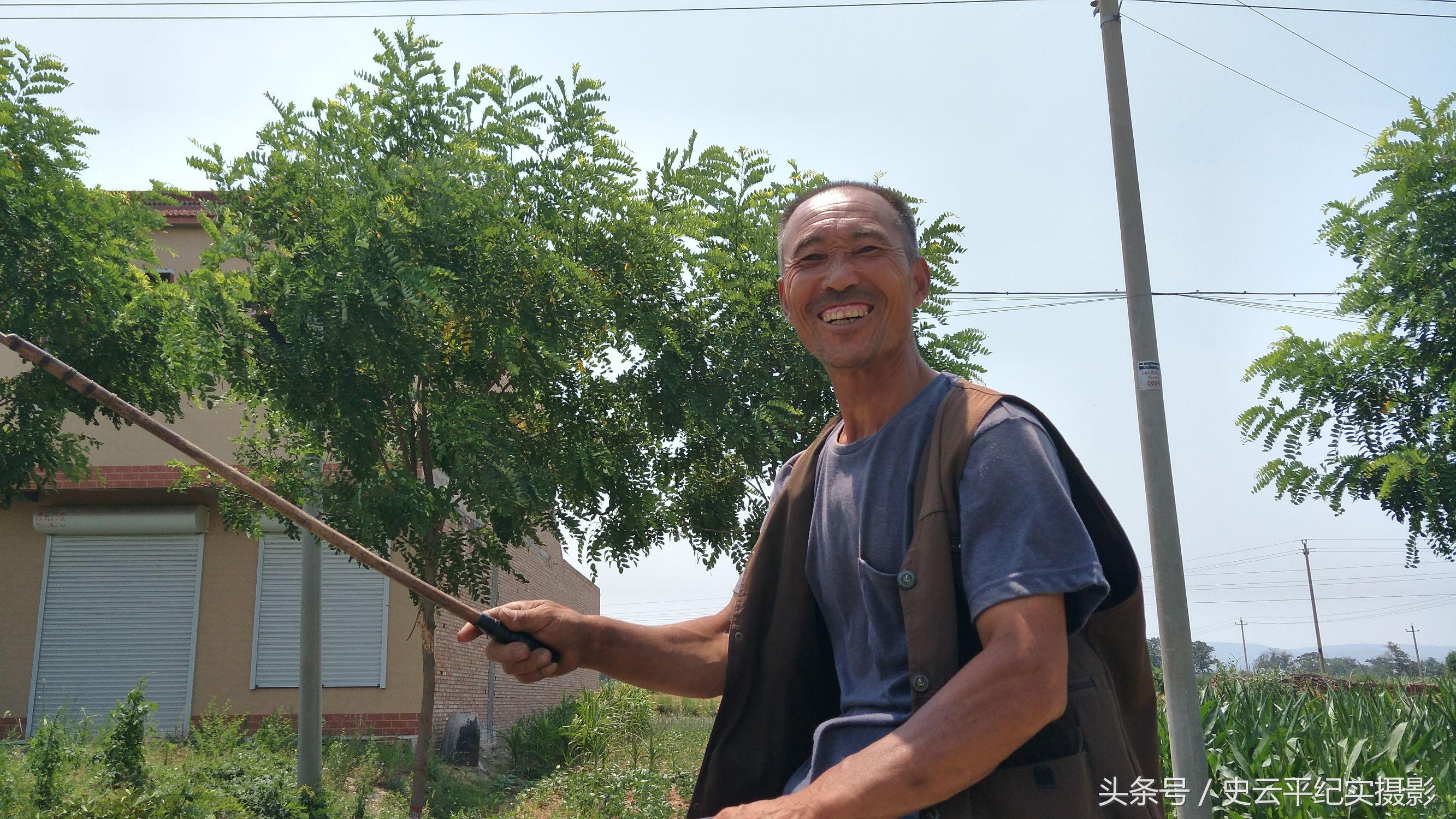 “嘚、加”赶着马车走乡串村收购小麦，这个营生很自在，每天赚取百余元