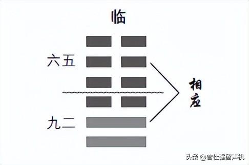 曾仕强讲易经(《易经》中的“欢迎光临”是什么意思？)