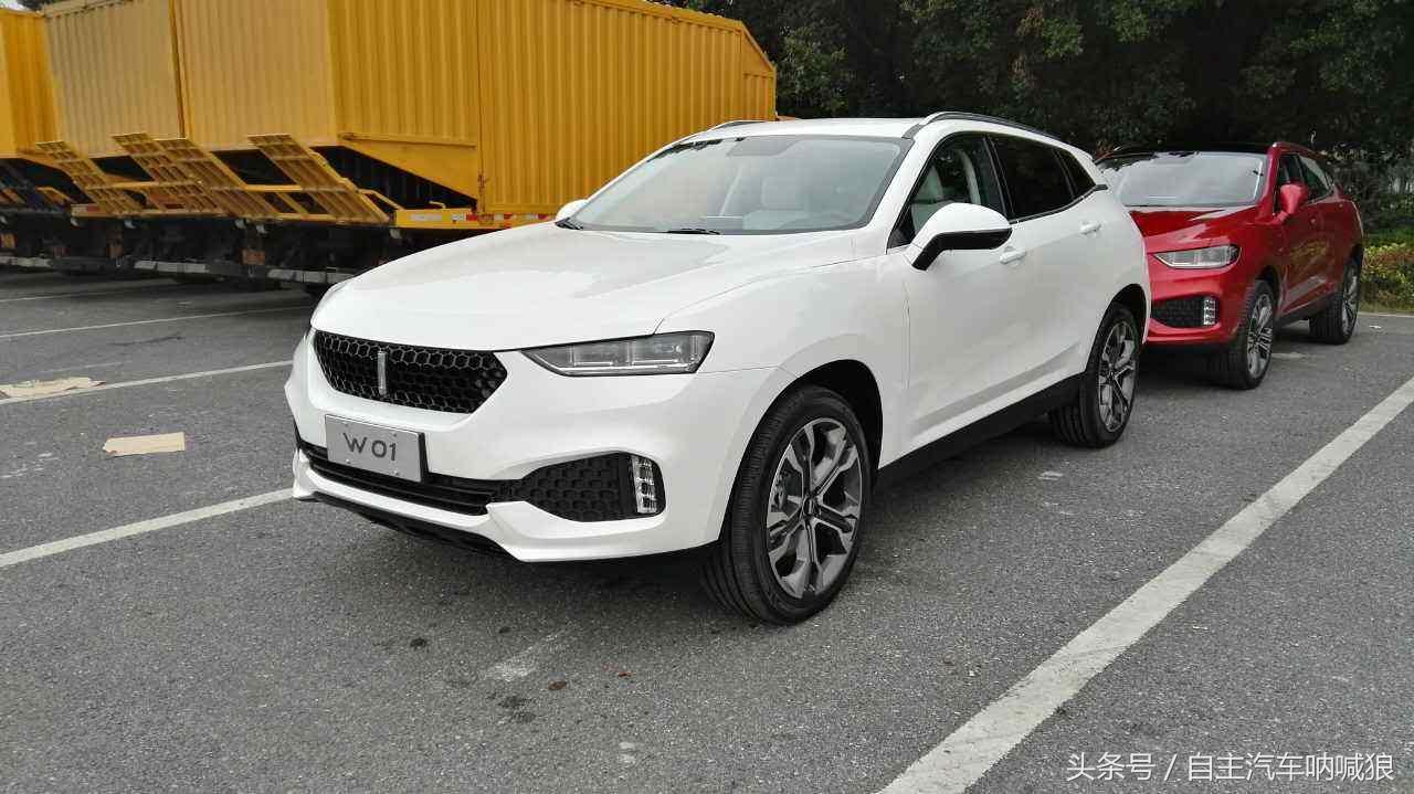 没想到国产豪华车销量这么高，等1个多月，WEY开始大规模提车